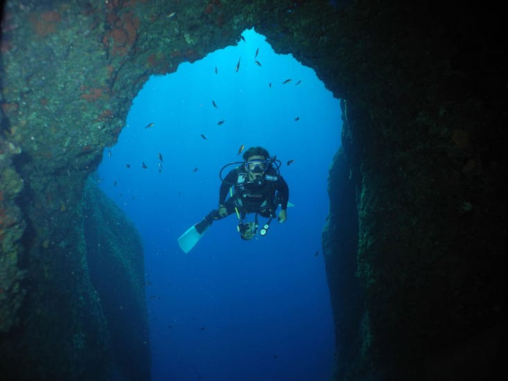A diver looks directly into the camera during a dive with Diver's Paradise Zakynthos.