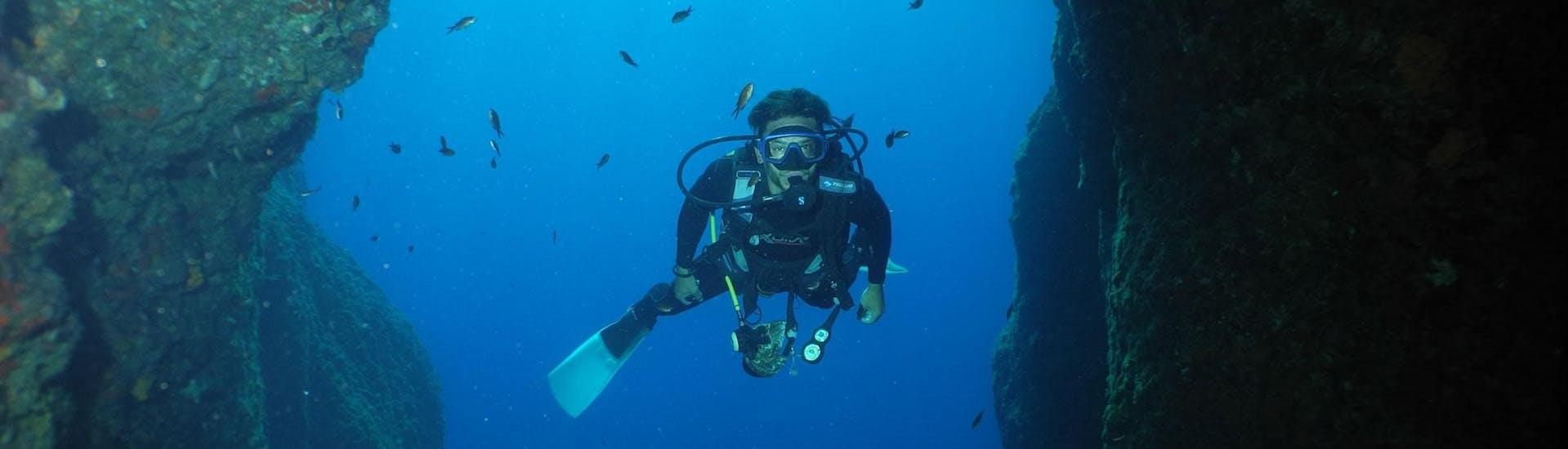 Een duiker kijkt recht in de camera tijdens een duik met Diver's Paradise Zakynthos.