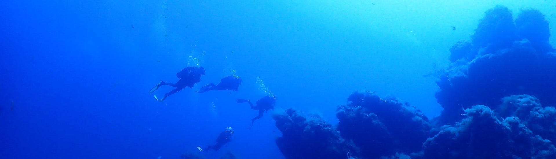 Des personnes font de la plongée sous-marine avec E Ragnole Plongée à Ajaccio. 