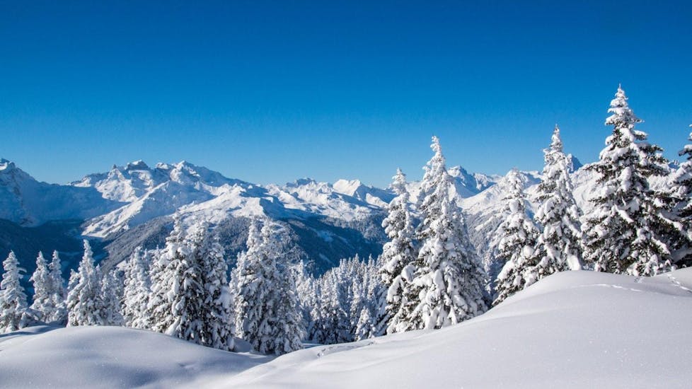 A view of a wintery landscape covered in deep poweder snow, in the ski resort of Morzine, where beginners can learn to ski with the help of the broad selection of ski lessons offered by the local ski schools.