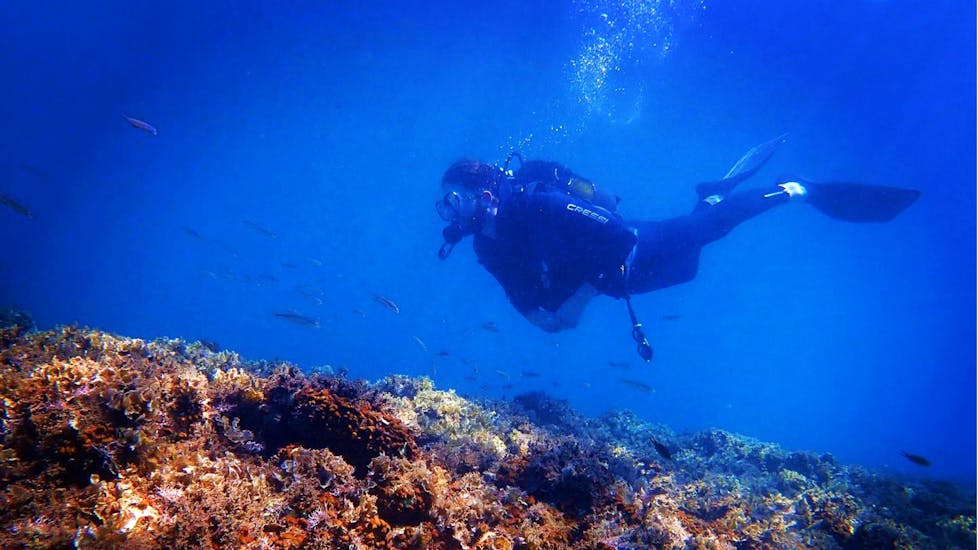 A diver exploring the depths of the Cretan Sea in a diving lesson with the experienced instructors from Evelin Dive Center.