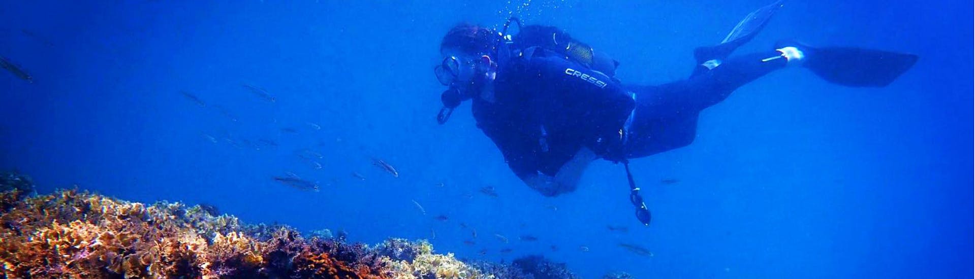 A diver exploring the depths of the Cretan Sea in a diving lesson with the experienced instructors from Evelin Dive Center.