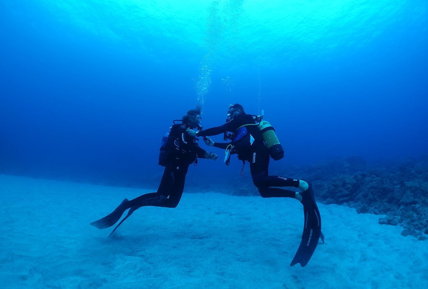 Excelsus Plongée La Réunion People doing scuba diving with Excelsus Plongée La Réunion.