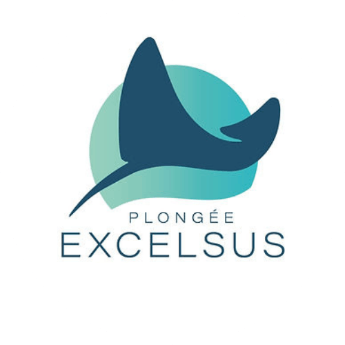 Excelsus Plongée La Réunion Excelsus Plongée La Réunion