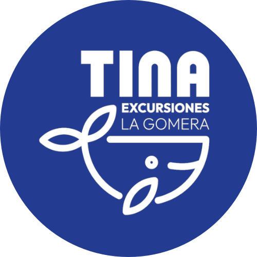 Excursiones Tina La Gomera