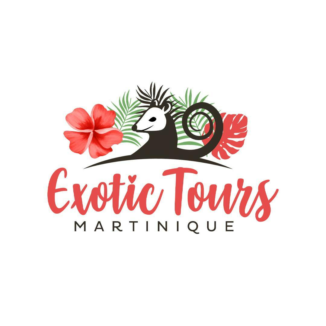 Panorama mozzafiato con montagne e mare, dove hanno luogo le attività di Exotic Tours Martinique.