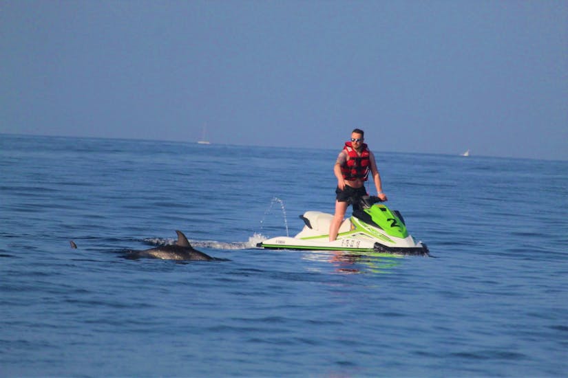 Avistamiento de un delfín durante un safari en moto de agua en Tenerife con Extreme Skis.