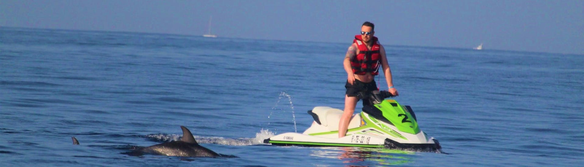 A dolphin can be seen during a jet ski safari in Tenerife with Extreme Skis. 