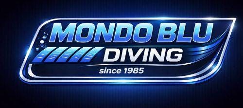 Mondo Blu Diving Capo Vaticano Mondo Blu Diving Capo Vaticano