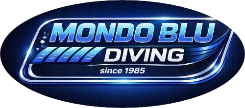 Mondo Blu Diving Capo Vaticano Mondo Blu Diving Capo Vaticano