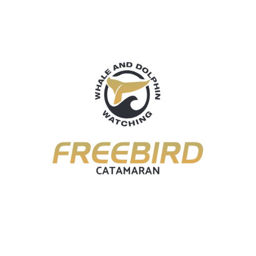 Freebird Catamarans Tenerife Freebird Catamarans Tenerife