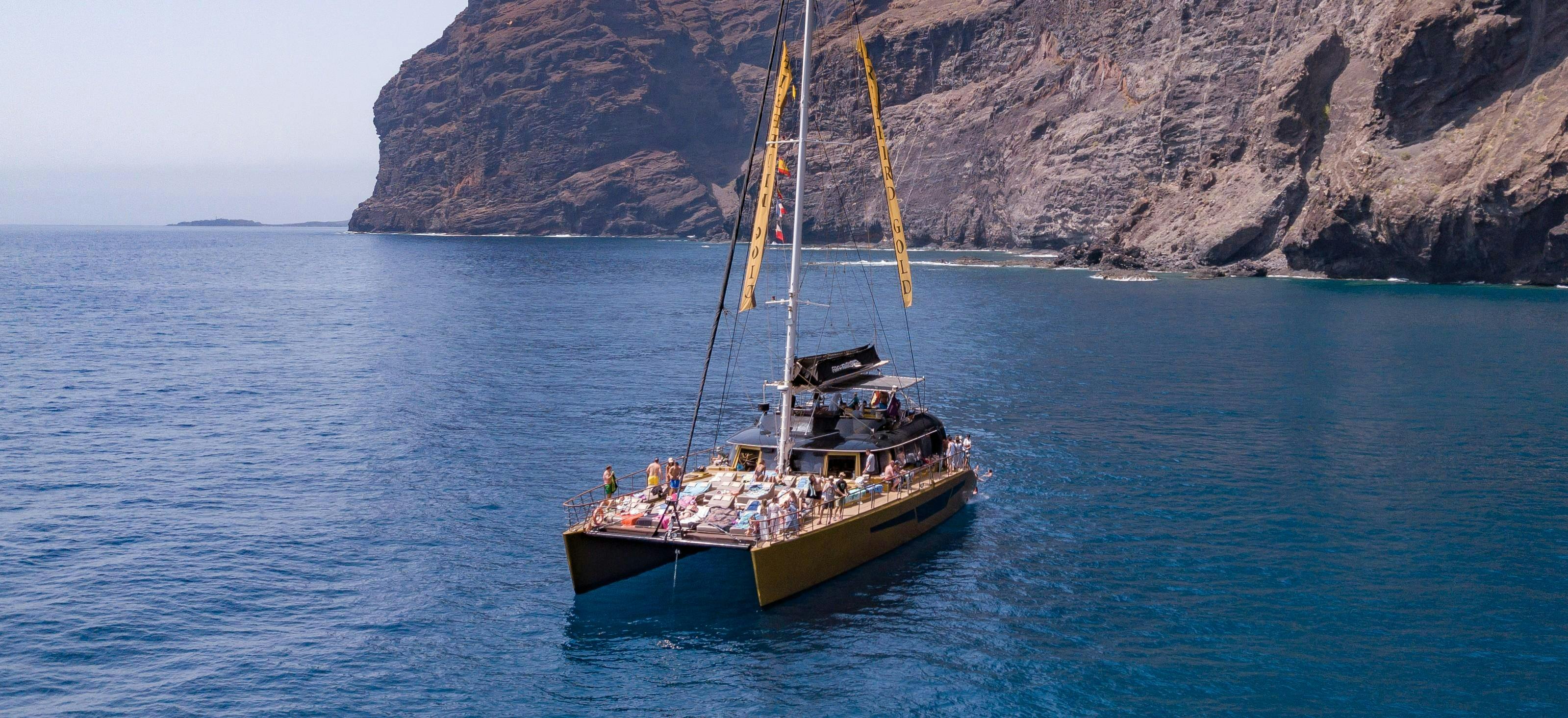 Prachtige landschappen met bergen en zee, waar de ervaringen van Freebird Catamarans Tenerife plaatsvinden.