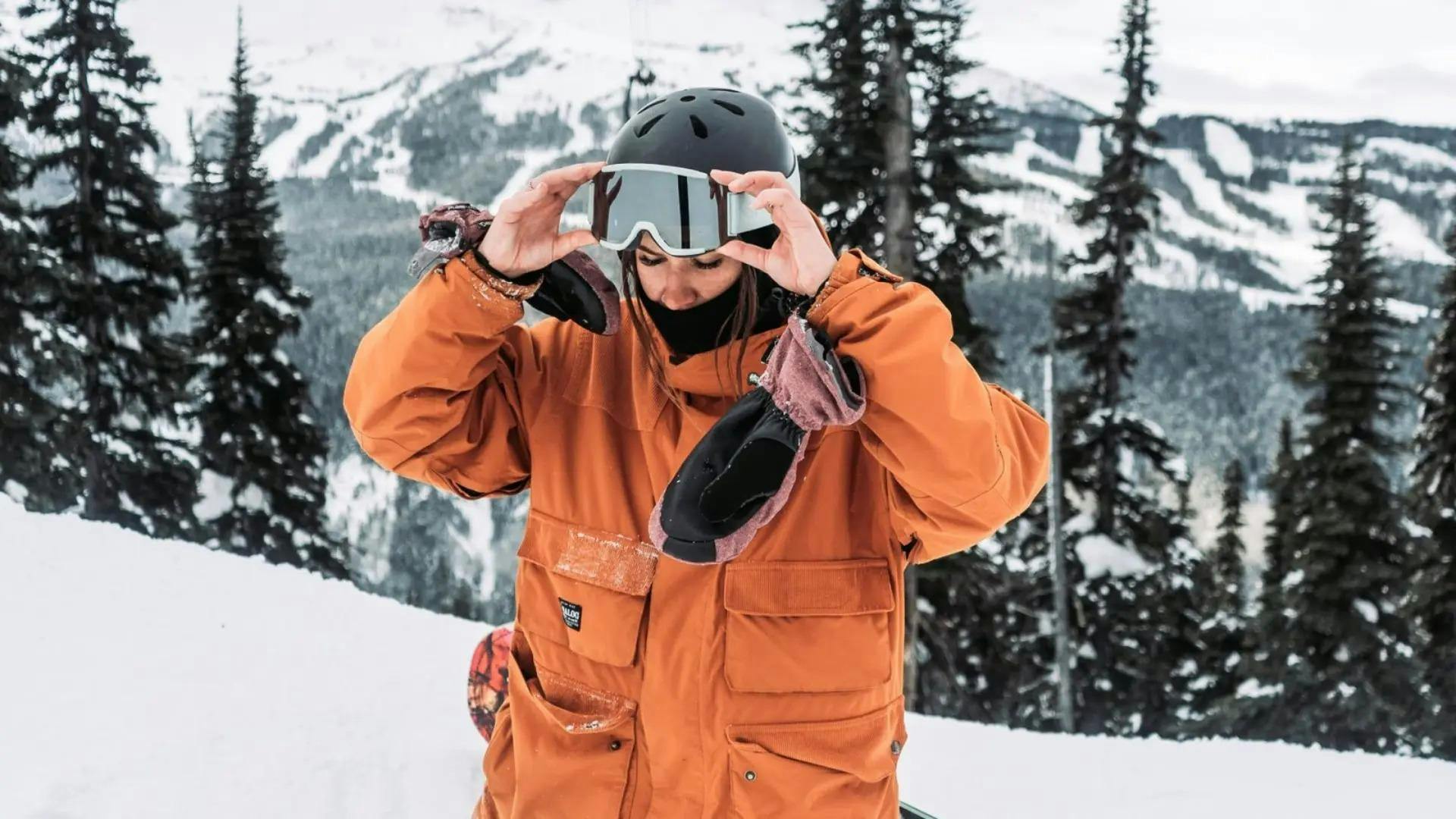 George Ski & Snowboard Rental Bansko Prachtige landschappen met bergen en zee, waar de ervaringen van George Ski & Snowboard Rental Bansko plaatsvinden.