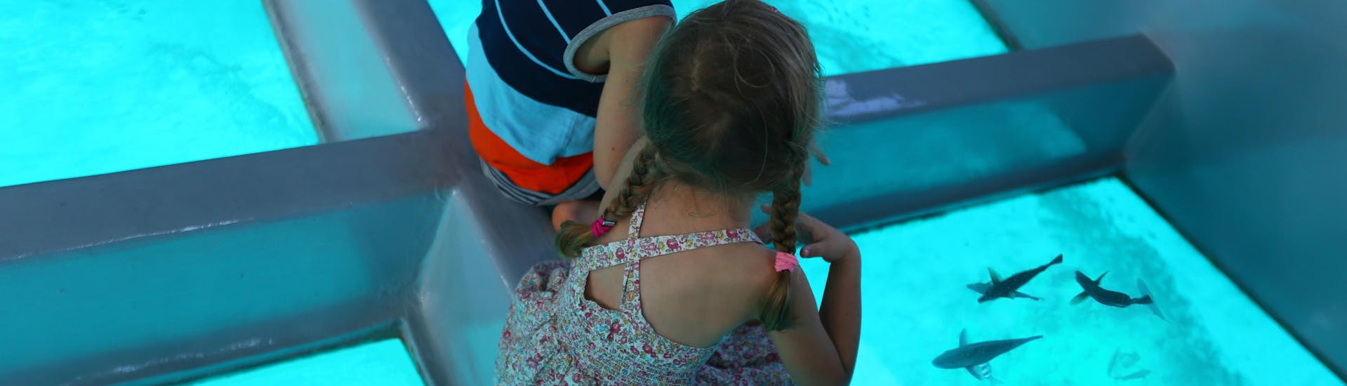 Zwei Kinder betrachten den Meeresboden während einer Fahrt mit einem Glasbodenboot.