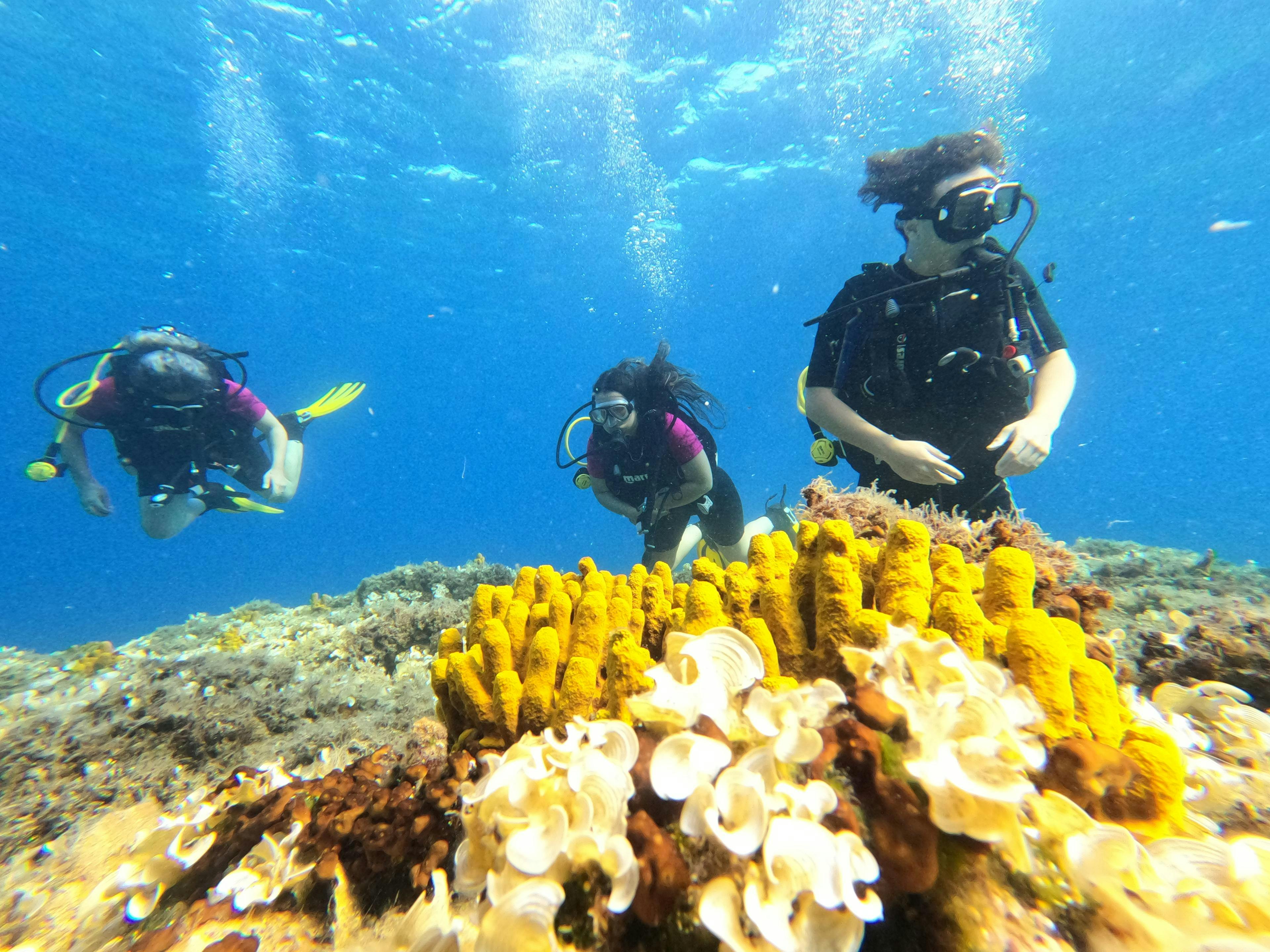 GOPR3561 Beeindruckende Landschaften mit Bergen und Meer, wo Aktivitäten von Nomad Divers Halkidiki stattfinden.