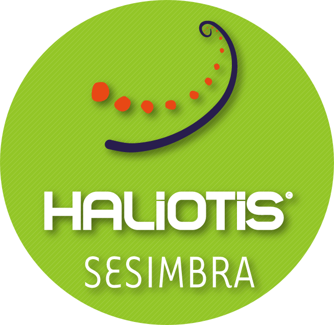 Haliotis Sesimbra Haliotis Sesimbra