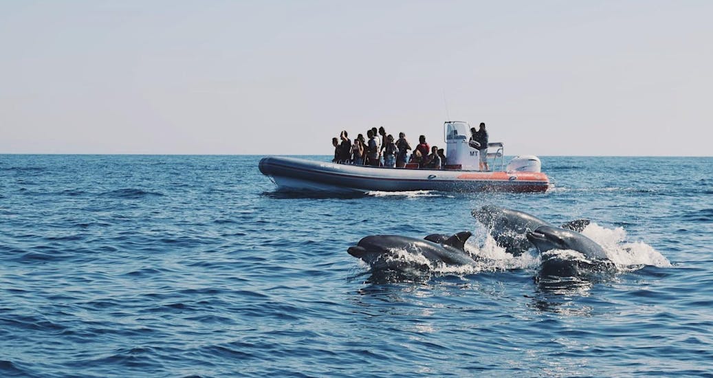 People are taking pictures of wild dolphins swimming around the boat with Allboat Albufeira.