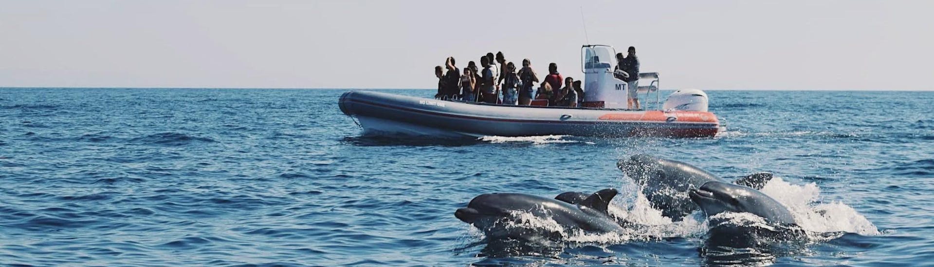 People are taking pictures of wild dolphins swimming around the boat with Allboat Albufeira.