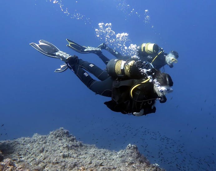 Two divers are exploring the underwater world with Diving Dragonera.