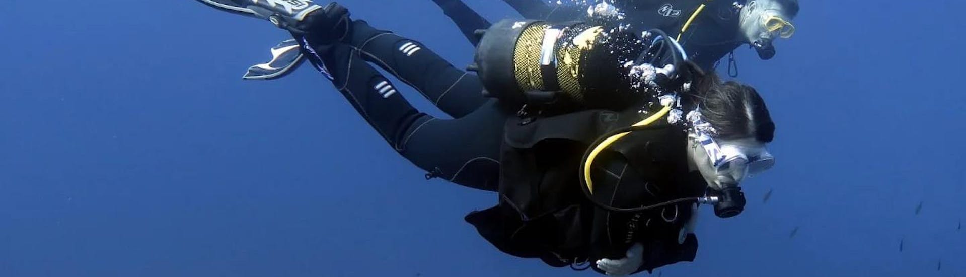 Deux plongeurs explorent les fonds marins avec Diving Dragonera.