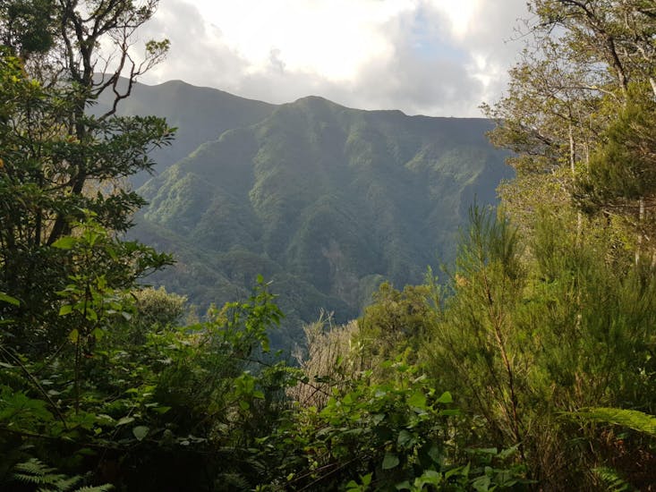 View from the canyon during one of the excursions with Lokoloko Madeira.