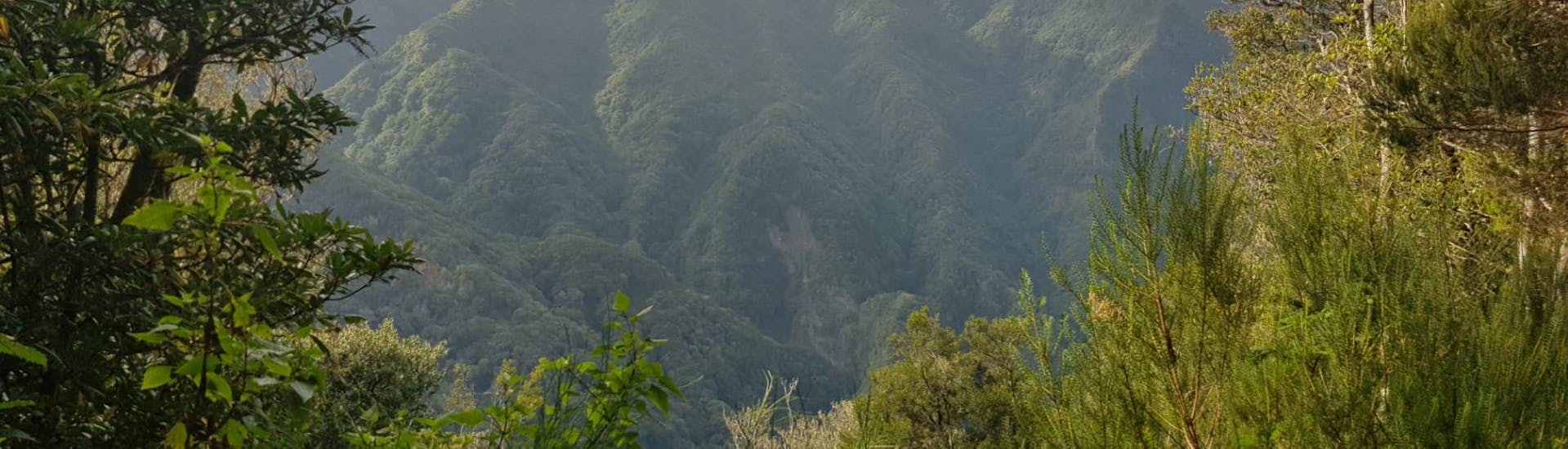 Vue du canyon lors d'une des excursions avec Lokoloko Madeira.