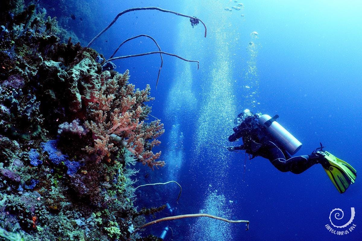 hippocampus-dive-center-pula-hero Magnifique paysage de montagnes et de mer, où se déroulent les activités de Hippocampus Dive Center Pula.