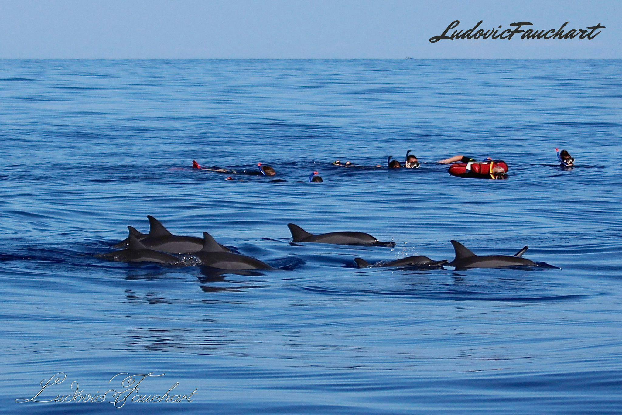 IMG-20251117-WA0118 (1) Panorama mozzafiato con montagne e mare, dove hanno luogo le attività di Cap Evasion 974 Réunion.