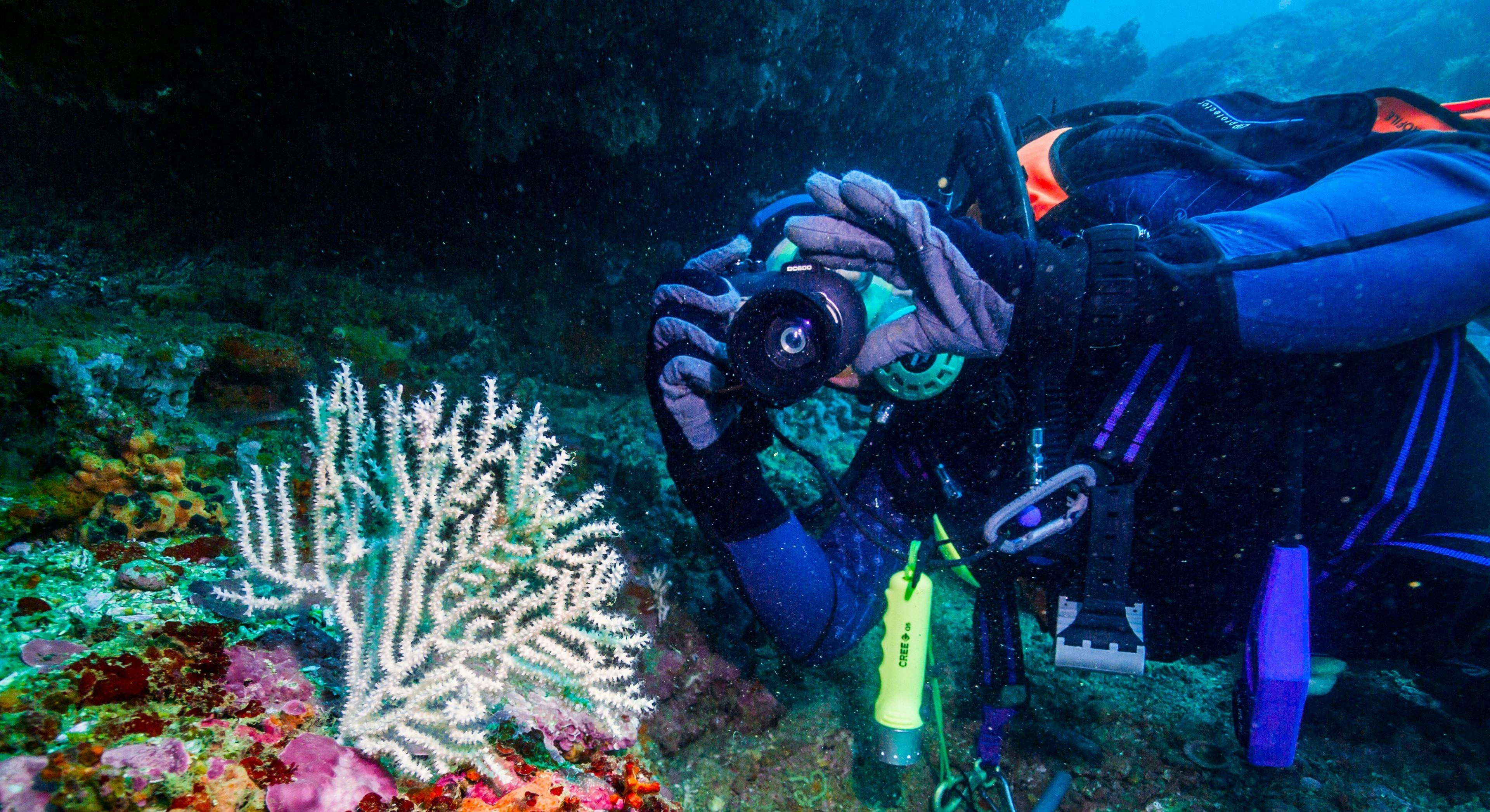 Indigo Divers Albufeira background image 1 Prachtige landschappen met bergen en zee, waar de ervaringen van Indigo Divers Albufeira plaatsvinden.
