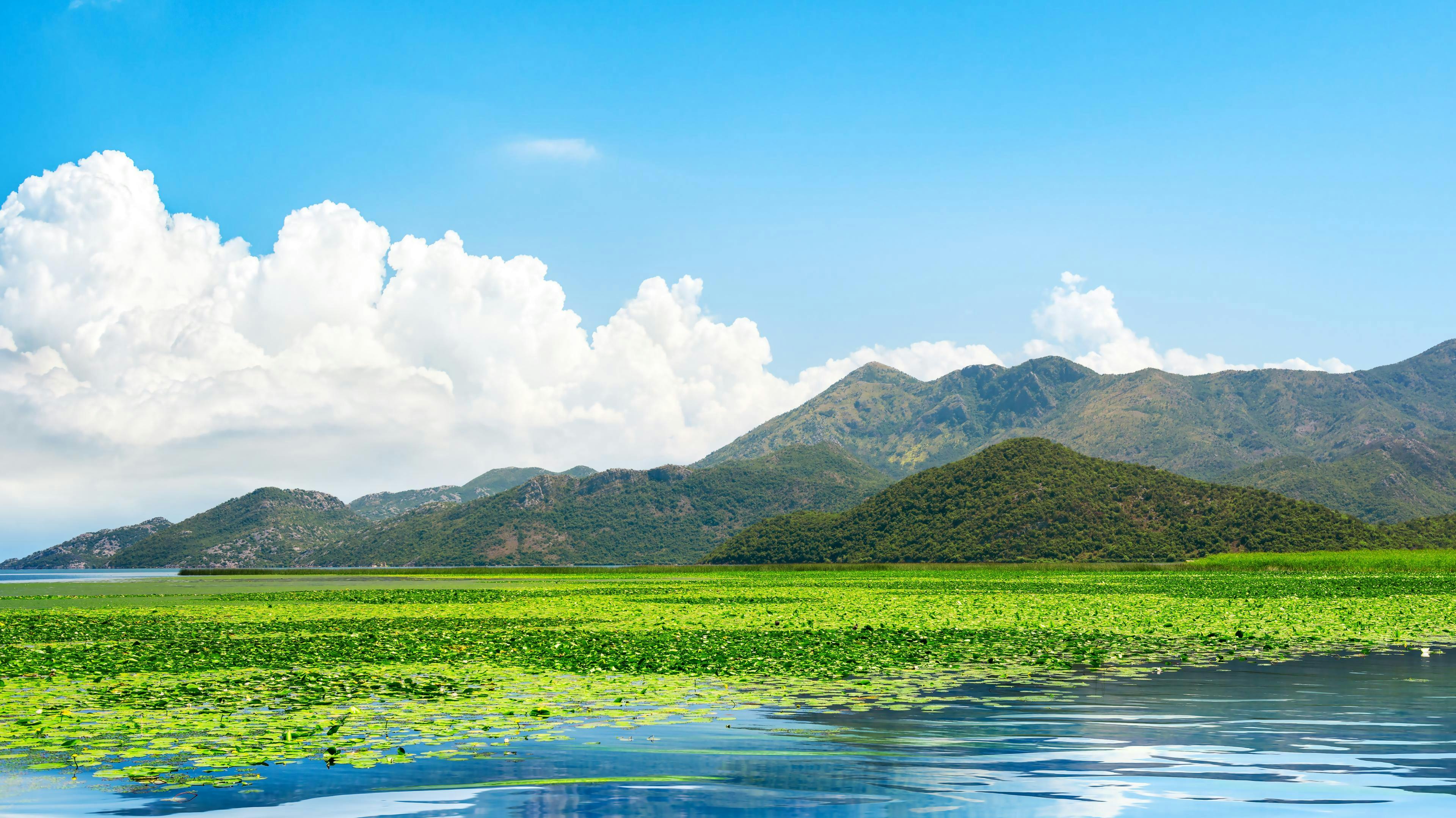 360 Monte Le lac Skadar avec sa verdure luxuriante, le ciel bleu en arrière-plan et les montagnes, lors d'un voyage avec 360 Monte.