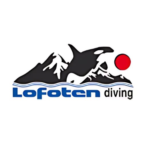 Lofoten Diving Ballstad Lofoten Diving Ballstad