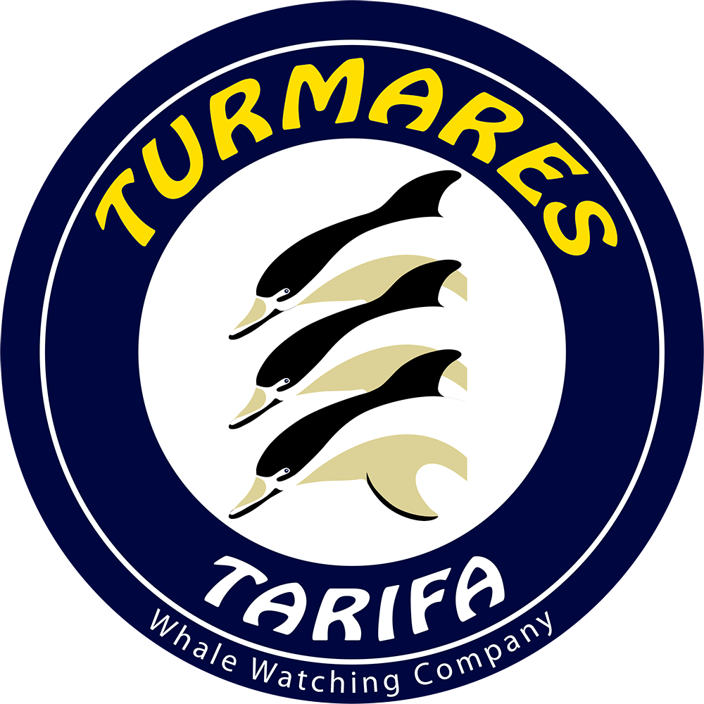 Turmares Tarifa Turmares Tarifa