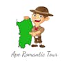Logo Ape Romantic Tour Olbia