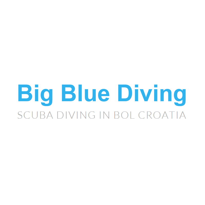 Big Blue Diving Bol Big Blue Diving Bol