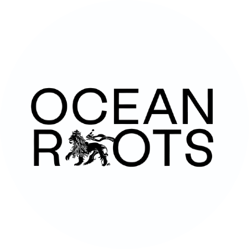 Ocean Roots Arcachon Ocean Roots Arcachon