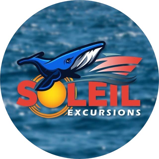 Soleil Excursions Guadeloupe Soleil Excursions Guadeloupe
