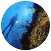 Logo Trogir Diving Center