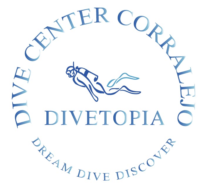 Divetopia - Dive Center Corralejo Divetopia - Dive Center Corralejo