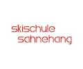 Logo DSV Skischule Sahnehang - Winterberg