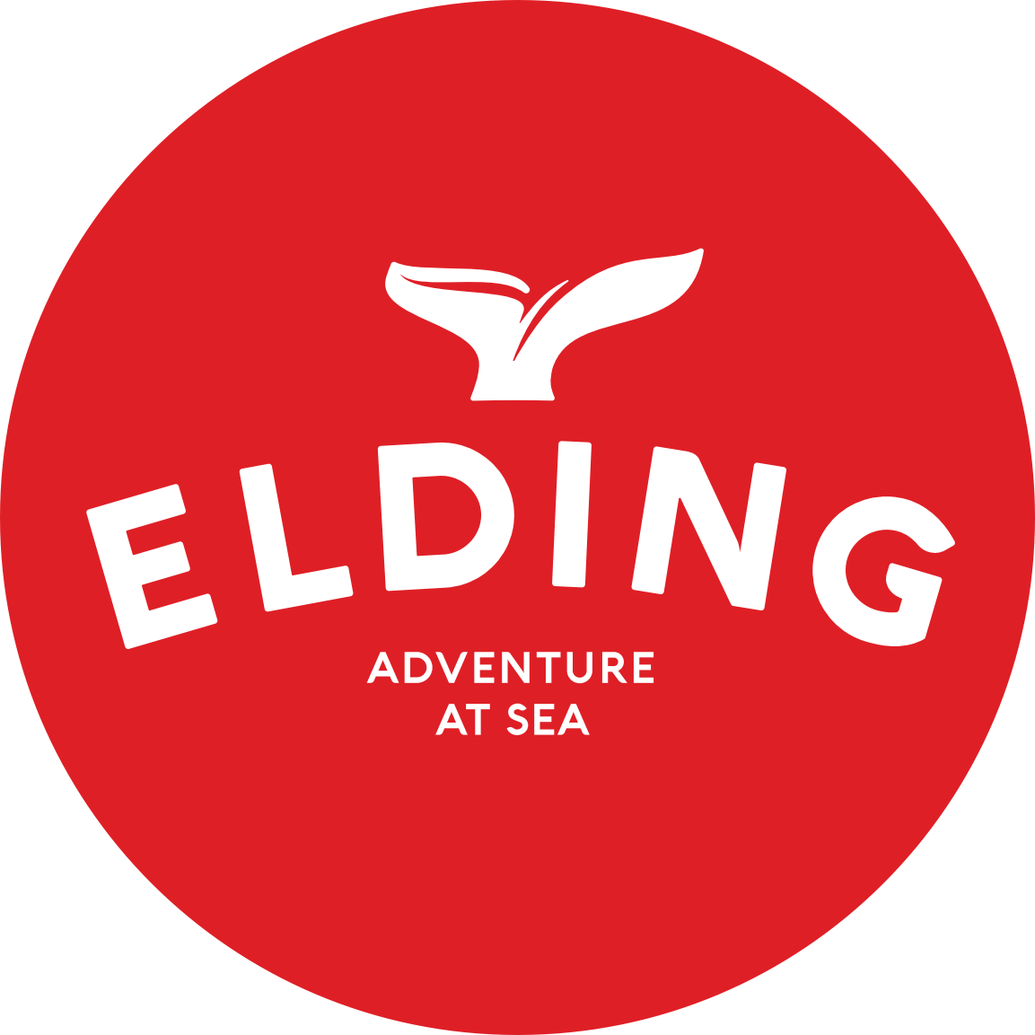 Elding Adventure at Sea Elding Adventure at Sea