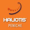 Logo Haliotis Peniche