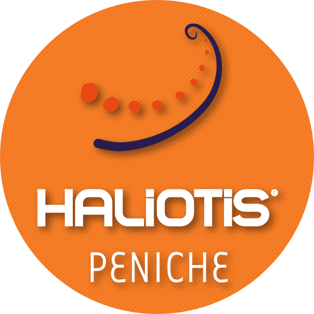 Haliotis Peniche Haliotis Peniche