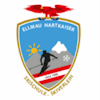 Logo Ski School Ellmau Hartkaiser