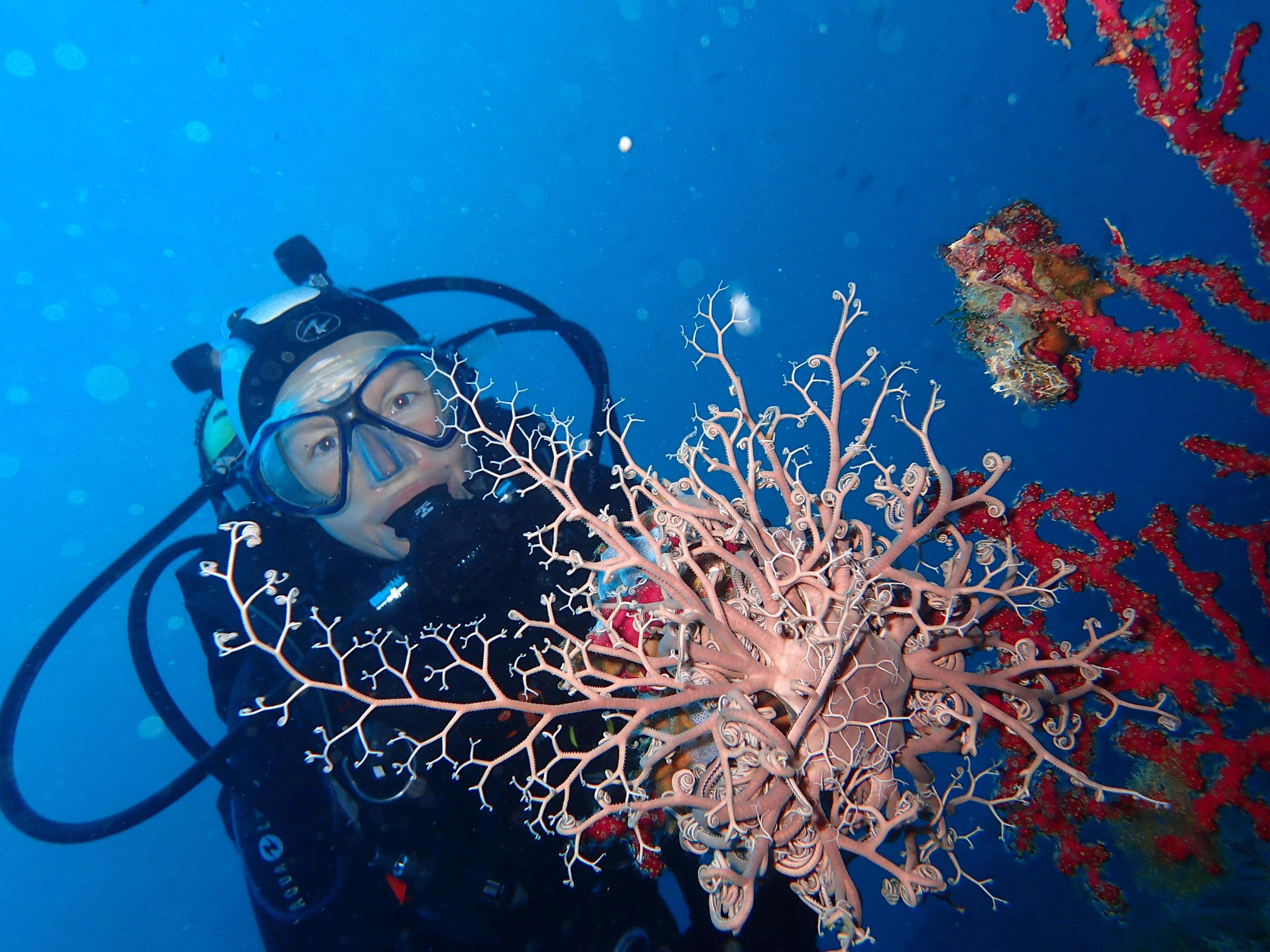 Narval Plongee 0 Offers Easily Bookable Online Checkyeti