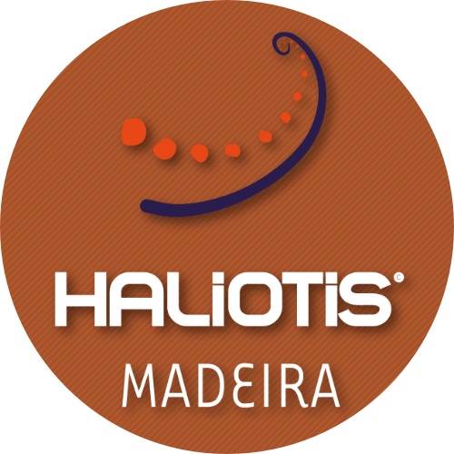 Haliotis Madeira Haliotis Madeira