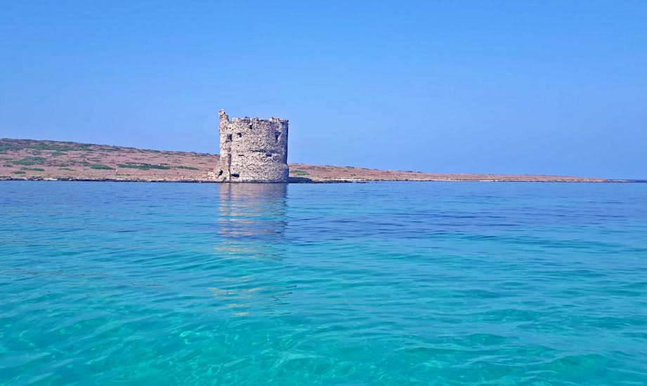 Picture of a landscape that can be admired during a boat trip with Onda Blu Asinara.