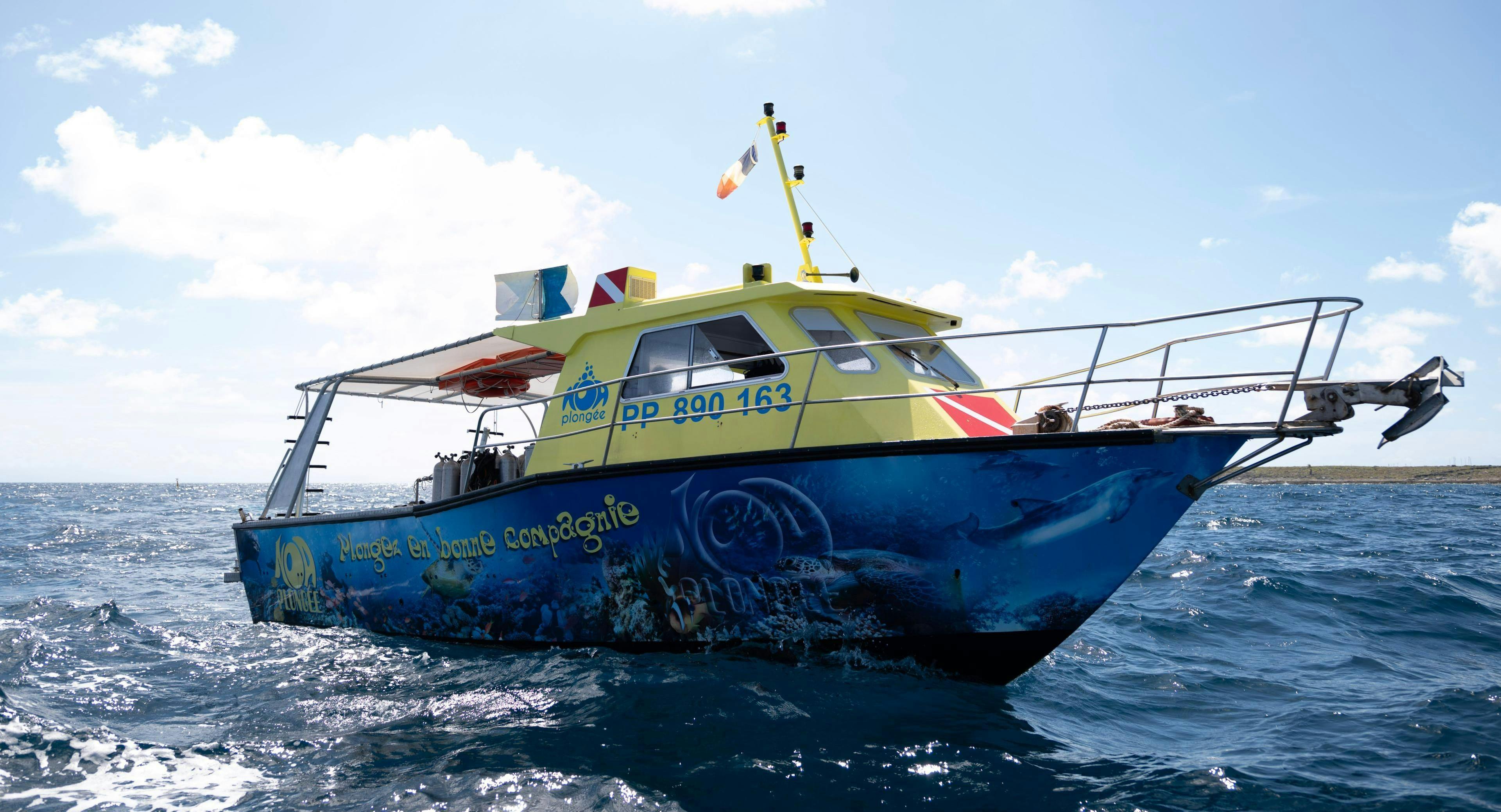 Noa Plongée Guadeloupe Prachtige landschappen met bergen en zee, waar de ervaringen van Noa Plongée Guadeloupe plaatsvinden.