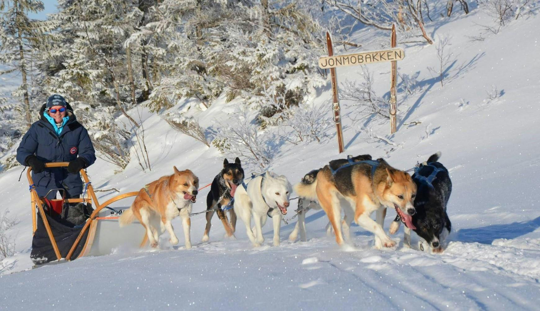 norway-husky-adventure-hero Beautiful landscapes showcasing mountains and sea, where the experiences of Norway Husky Adventure are taking place.