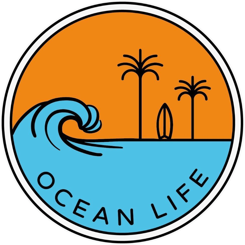 Ocean Life Surf School Tenerife Ocean Life Surf School Tenerife