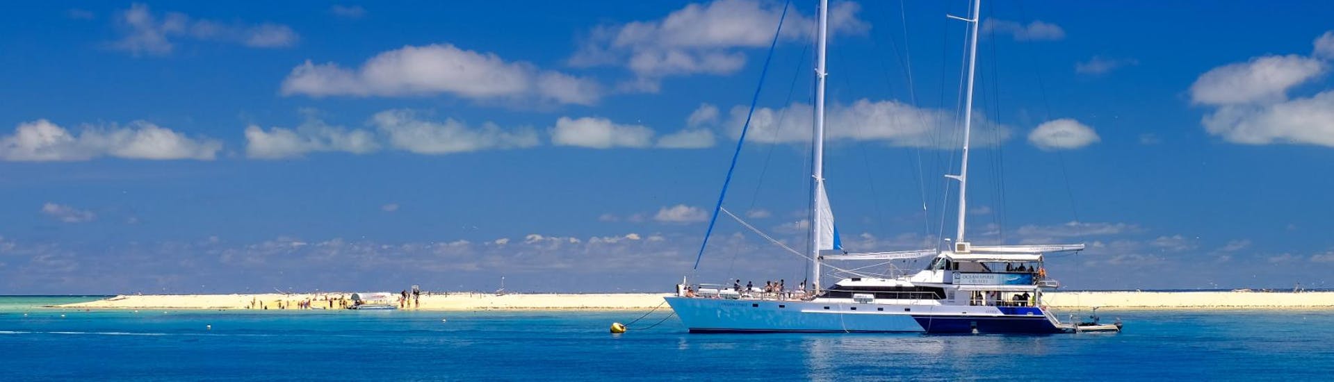 Ocean Spirit Cruises Cairns: All you need to know - CheckYeti